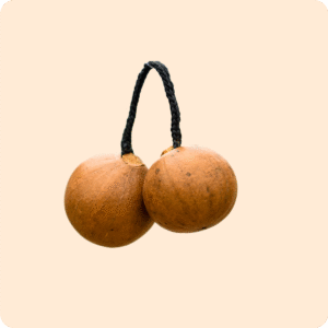 Dwakrom Koshska