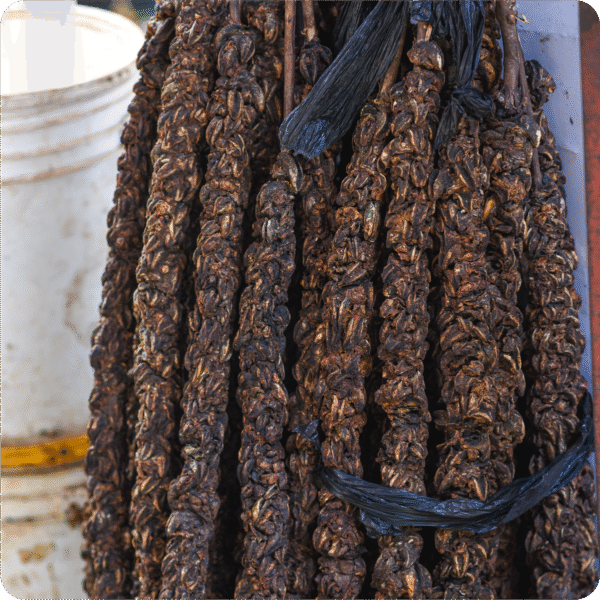 Dwakrom Dry Snail - Image 2