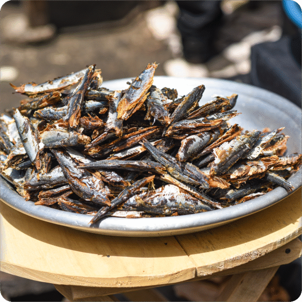 Small Dry Herrings Fish - Image 2